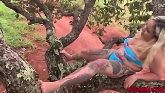 Brand New Pussy On Top Of The Tree - Mandy May - Crazy Lipe - Andrehot